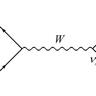 feynman diagram of antimuons.